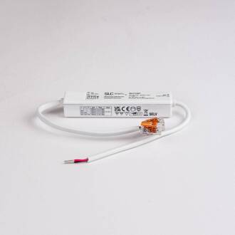 SLC LED driver MiniOne, 2,5 - 7 V DC, 700 mA, 2 - 5 W, dimbaar wit