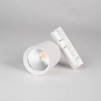 SLC LED railspot Fox, wit, 3.000 K, 3-fasen railsysteem