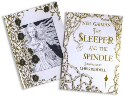 Sleeper and the Spindle - Boek Neil Gaiman (1408878429)