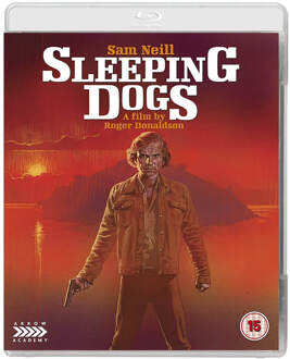 Sleeping Dogs