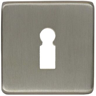 Sleutelgatrozet - Staal - Vierkant - 53mm - Rvs - 2 Stuks