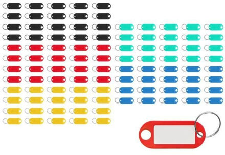 Sleutelhanger labels - 100x stuks - multi color - L5 cm - met etiket - sleutelhanger identificatie