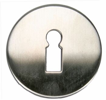 Sleutelplaat Zweden Rvs 2st.