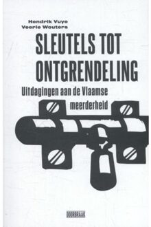 Sleutels tot ontgrendeling - Boek Hendrik Vuye (9492639009)
