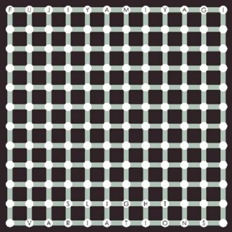 Slight Variations - Fujiya & Miyagi