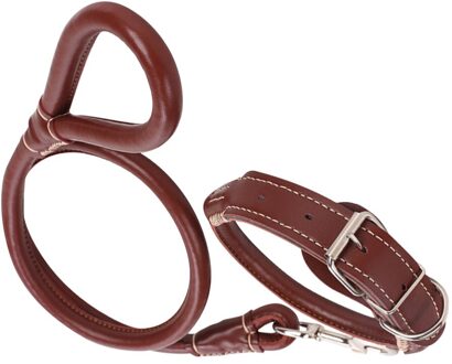 Slijtvaste Pu Leather Neck Strap Pet Trekkabel Praktische Riem Pet Trekken Touw Dierbenodigdheden Voor Hond Puppy (Zwart, size bruin / M