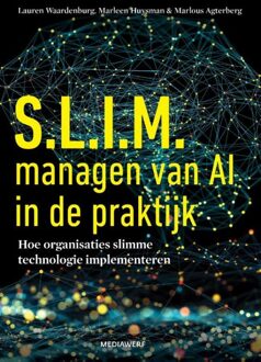 Slim managen van AI in de praktijk - Lauren Waardenburg, Marleen Huysman, Marlous Agterberg - ebook