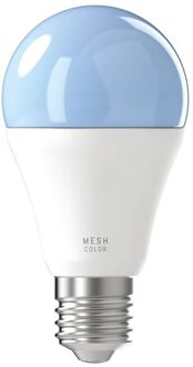 Slimme Ledlamp Wit En Gekleurd Licht A60 E27 9w 2 Stuks Met Afstandsbediening