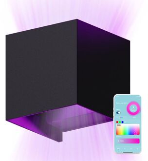 Slimme Wandlamp - Binnen/Buiten - Lamp Zwart - Smart Lamp - Waterdicht - Energiezuinig/Roestvrij - RGB - Met App