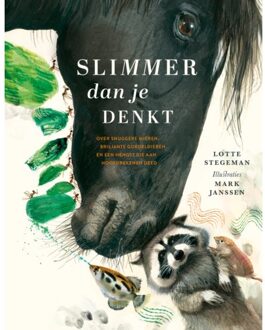 Slimmer Dan Je Denkt - Lotte Stegeman