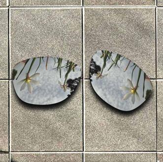 Sliver Titanium Gepolariseerde Zonnebril Vervanging Lens voor-Oakley Frogskins Frame 100% Uv-bescherming Goede Fitness