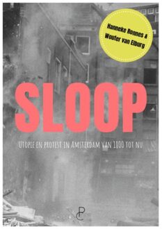Sloop - Hanneke Ronnes