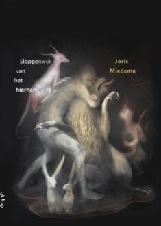 Sloppenwijk van het hiernamaals -  Joris Miedema (ISBN: 9789063381882)