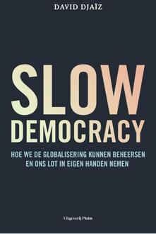 Slow democracy