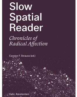 Slow Spatial Reader - Carolyn Strauss