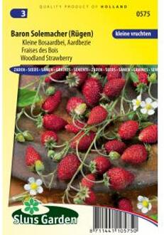 Sluis Garden Aardbei, Bosaardbei Baron Solemacher (Fragaria vesca)