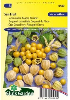 Sluis Garden Ananaskers (Physalis peruviana)