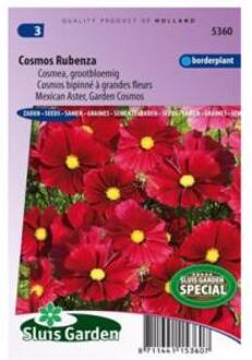 Sluis Garden Cosmos Rubenza Fleuroselect Novelty