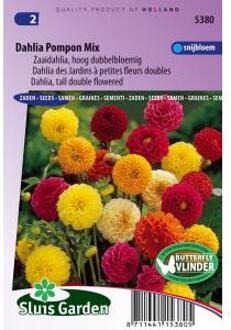 Sluis Garden Dahlia Pompon Mix