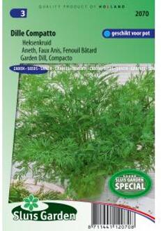 Sluis Garden Dille Compatto (Anethum graveolens)