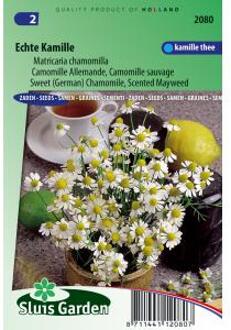 Sluis Garden Kamille zaden - Matricaria chamomilla