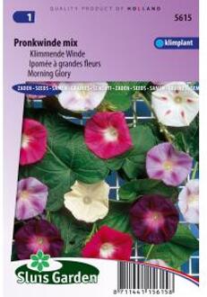 Sluis Garden Klimmende Winde Choice Mixed (Ipomoea)