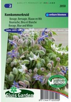 Sluis Garden Komkommerkruid Blauw/ Wit (Borago officinalis)