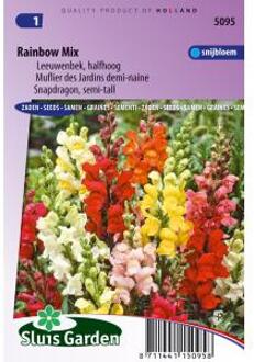 Sluis Garden Leeuwenbek Rainbow mix, halfhoog