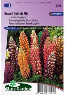 Sluis Garden Lupinus Russell Hybrids Mix