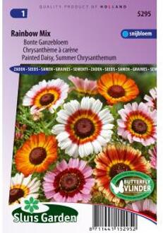 Sluis Garden Margriet Rainbow Mixed (Bonte Ganzebloem)