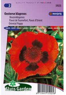 Sluis Garden Oosterse Klaproos Rood (Papaver orientale)