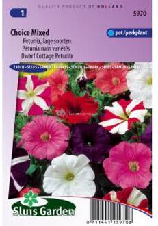 Sluis Garden Petunia Choice Mix