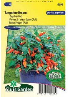 Sluis Garden Potpaprika Tangerine Dream