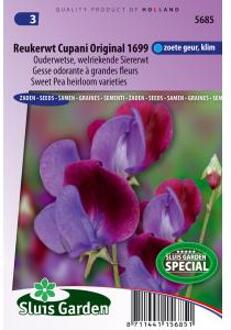 Sluis Garden Reukerwt Cupani Original 1699 (lathyrus)