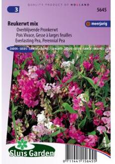 Sluis Garden Reukerwt overblijvende mix (Lathyrus)