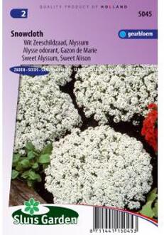 Sluis Garden Schildzaad Sneeuwkleed (alyssum)