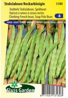 Sluis Garden Stokslaboon (spekboon) zaden - Neckarkönigin