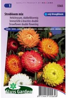 Sluis Garden Strobloem Dubbelbloemig gemengd