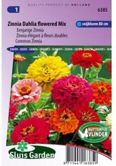 Sluis Garden Zinnia Dahlia-Bloemige Mix