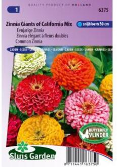 Sluis Garden Zinnia Reuzen van California Mix