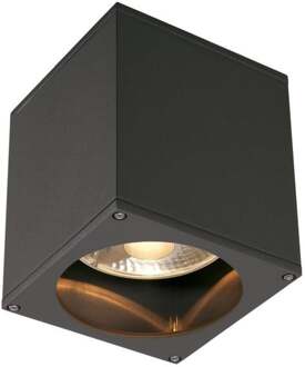 SLV BIG Theo QPAR111 Antraciet plafondlamp