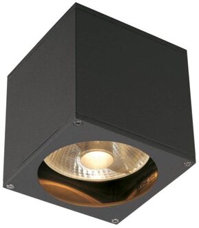 SLV BIG THEO WL Antraciet wandlamp