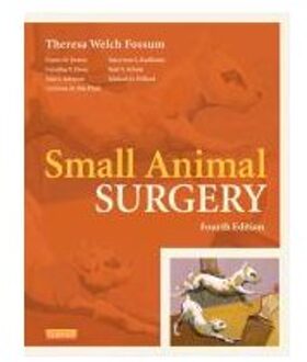 Small Animal Surgery Expert Consult - Online and print