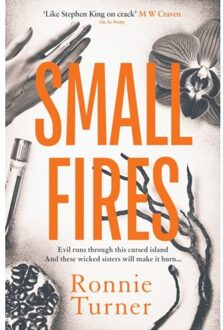 Small Fires - Ronnie Turner