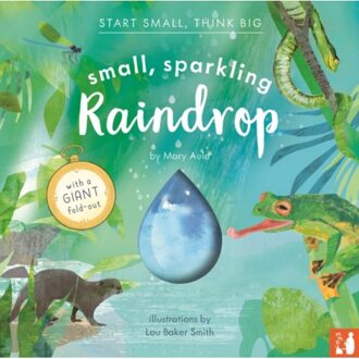 Small, Sparkling Raindrop - Start Small, Think Big - Mary Auld