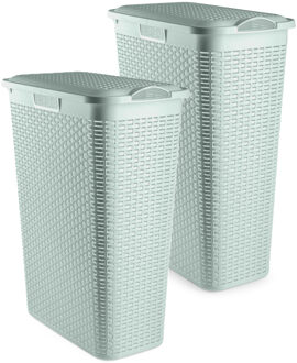 Smalle Wasmand met deksel Rotan - 2x - groen - gevlochten kunststof - 48 liter - 27 x 46 x 60 cm