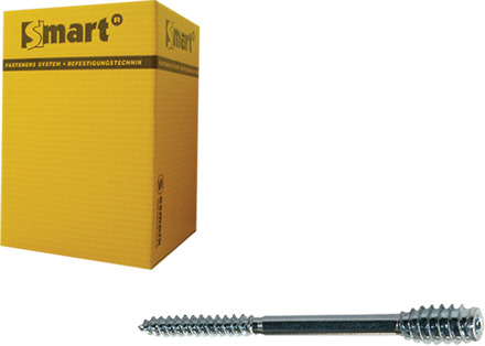 SMART | Afstandschroef T-drive T25 Ø 6x200 Zn | 50 st - SM0SSC0010602003