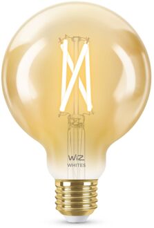 Smart Filament lamp Globe - Warm tot Koelwit Licht - E27