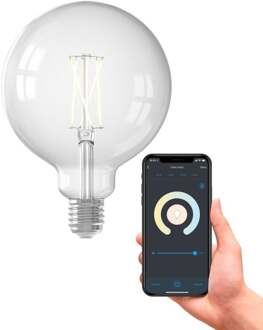 Smart LED E27 G125 19 cm Globelamp Wit