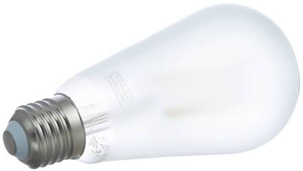 Smart LED lamp mat E27 ST64 7W Tuya WLAN CCT wit mat